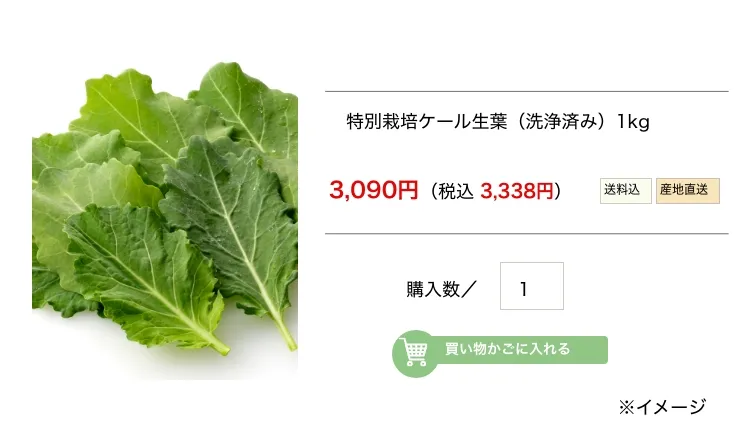 特別栽培ケール生葉 (洗浄済み) 1kg3,090円 (税込 3,338円)送料込產地直送購入数/ 1買い物かごに入れる※イメージ