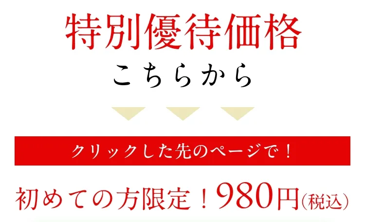 特別優待価格こちらからクリックした先のページで!初めての方限定!980円(税込)